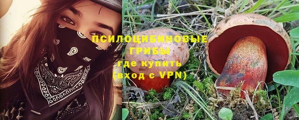 сатива Баксан